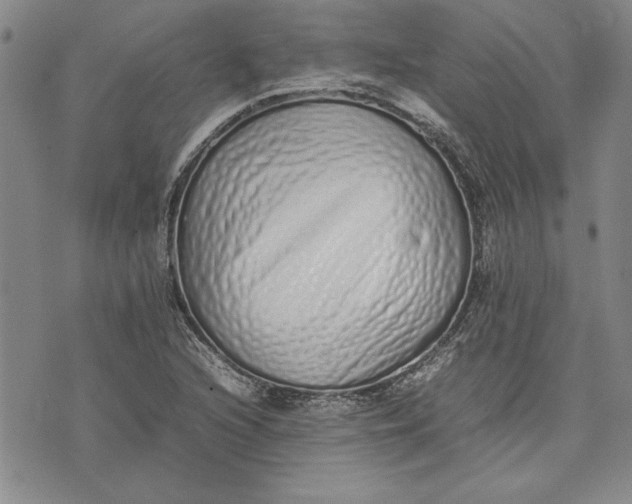 X0000075331216200609250938