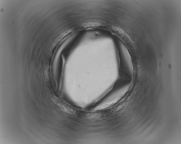 X0000075331217200609250938