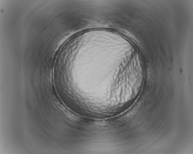 X0000075331220200609250938
