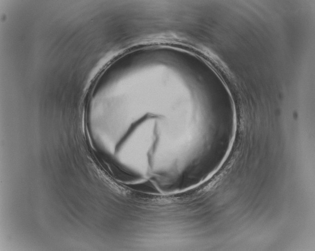 X0000075331224200609250939