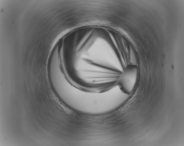 X0000075331230200609250939