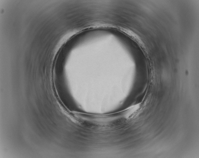 X0000075331231200609250939