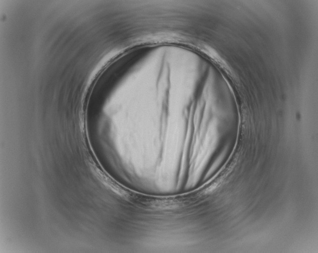X0000075331232200609250939