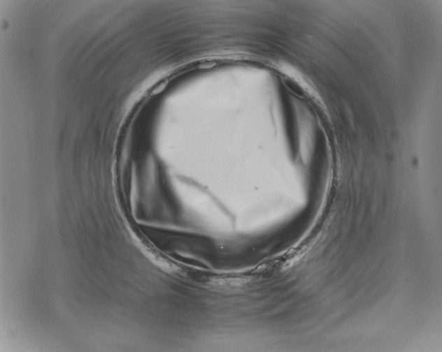 X0000075331237200609250939