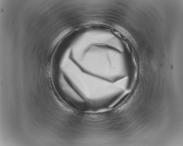 X0000075331241200609250939