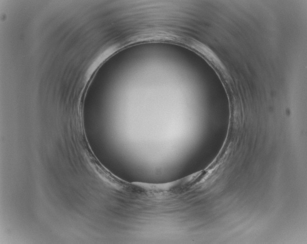X0000075331242200609250939