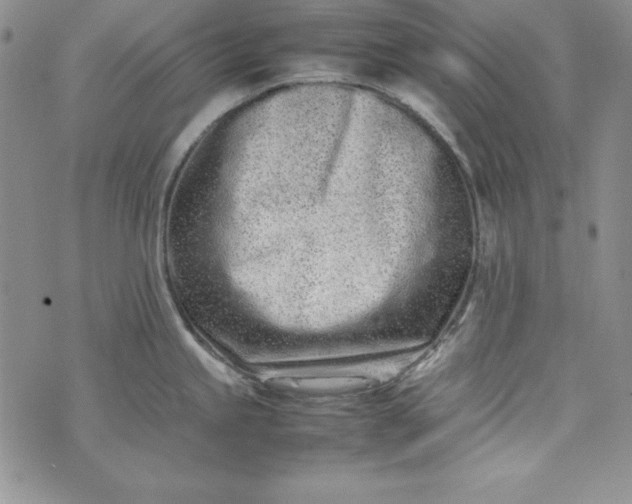 X0000075331245200609250939