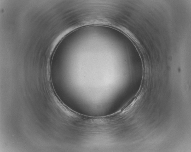 X0000075331246200609250939