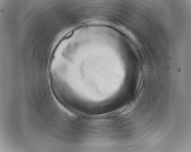 X0000075331247200609250939