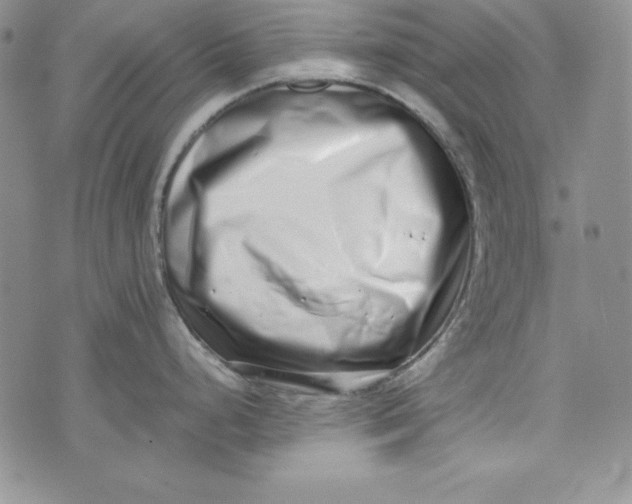 X0000075331248200609250939