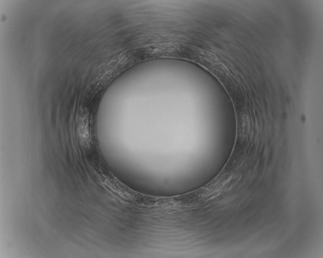 X0000075331250200609250938