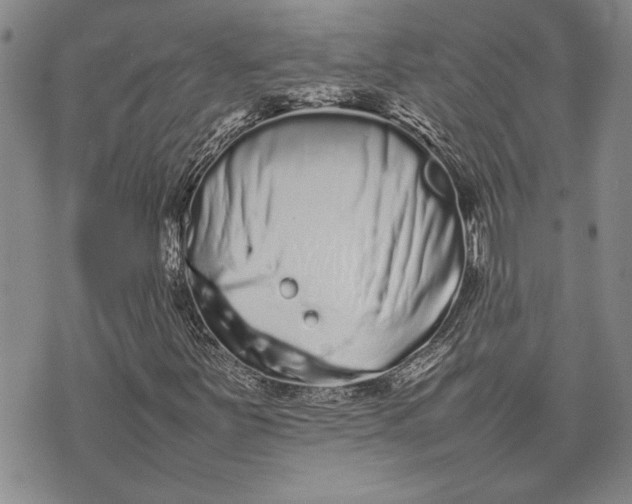 X0000075331251200609250938