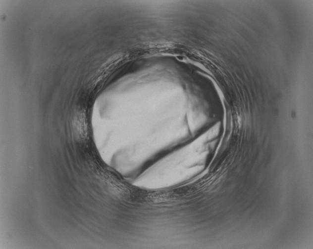 X0000075331252200609250938