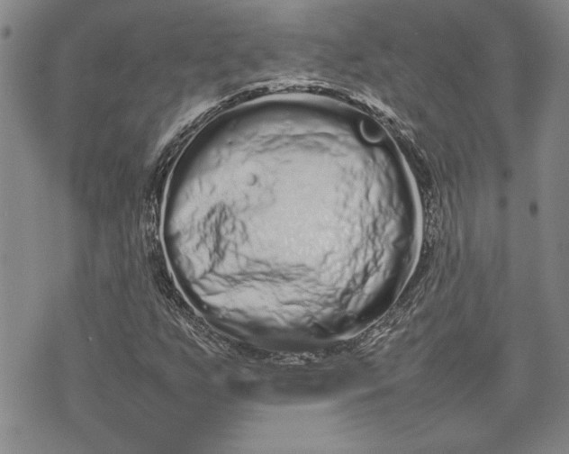 X0000075331255200609250938