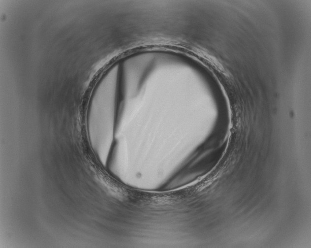 X0000075331264200609250938