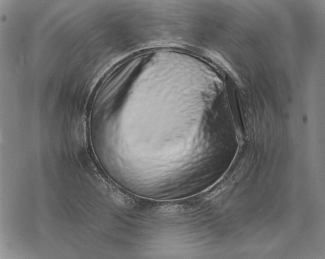 X0000075331268200609250938