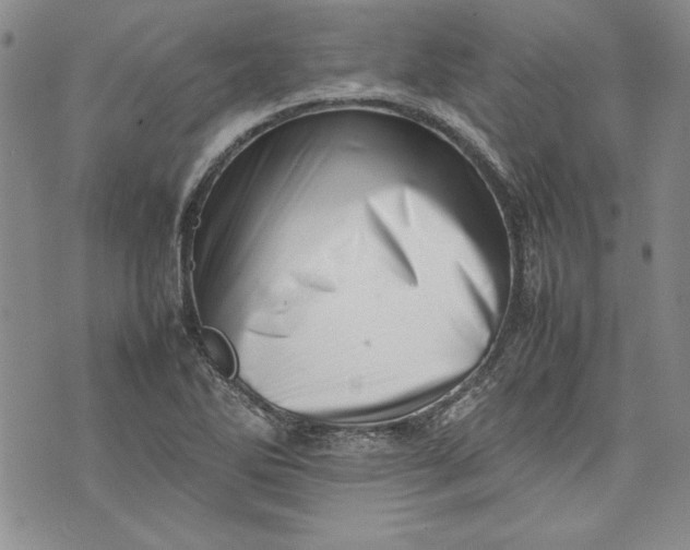 X0000075331270200609250938