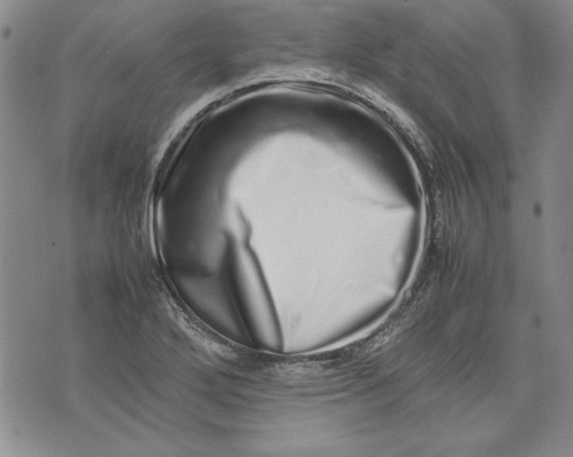 X0000075331272200609250938