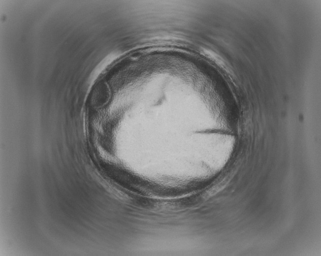 X0000075331275200609250938