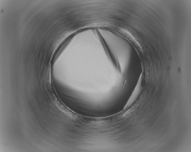 X0000075331276200609250938