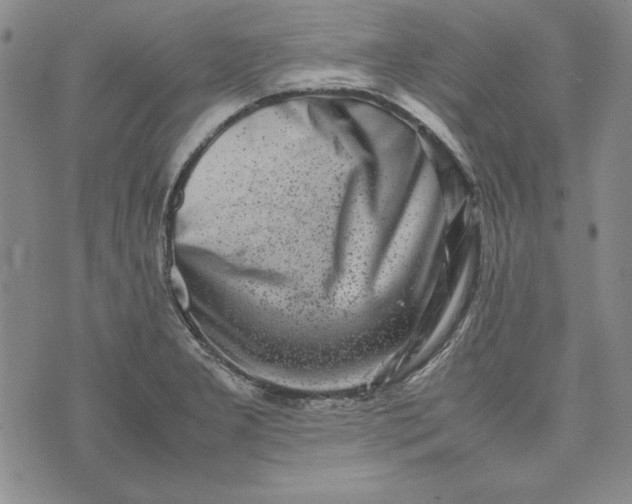 X0000075331277200609250938