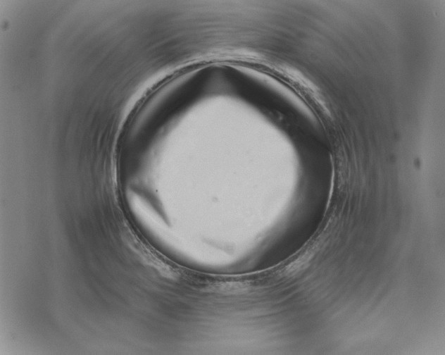 X0000075331280200609250938
