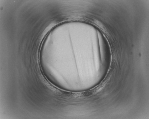 X0000075331283200609250938