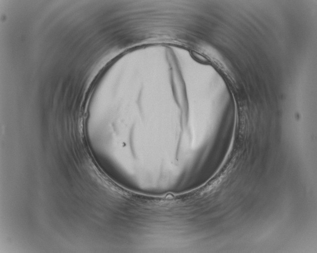 X0000075331284200609250938