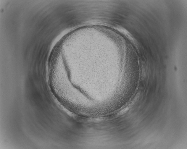 X0000075331286200609250938