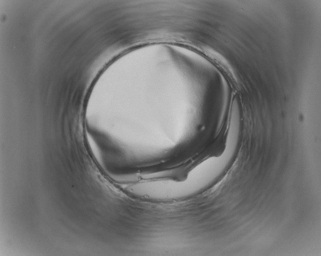 X0000075331288200609250938