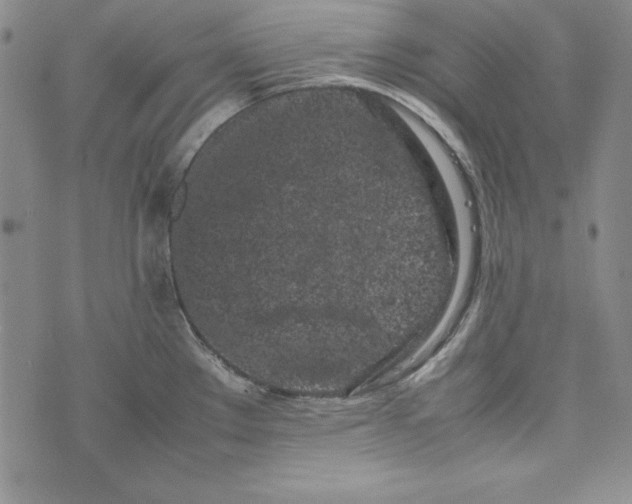 X0000075331289200609250938