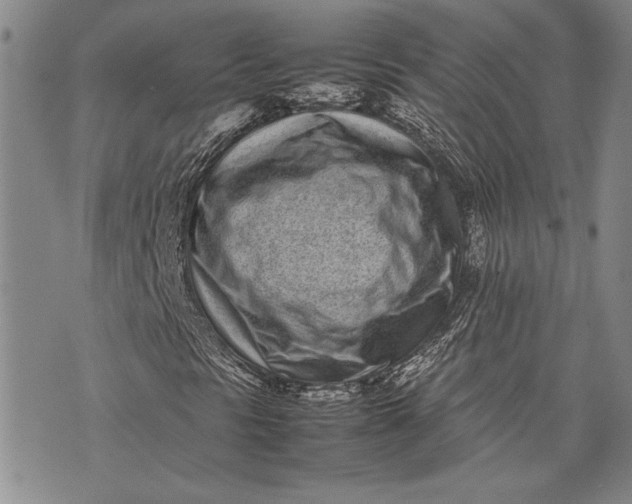 X0000075331297200609250937