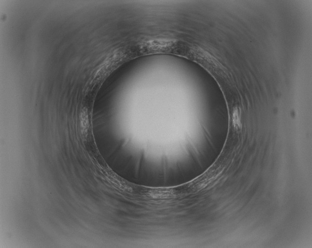 X0000075331299200609250937