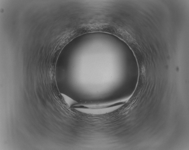 X0000075331300200609250937