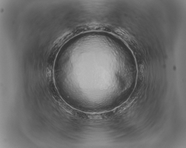 X0000075331302200609250937