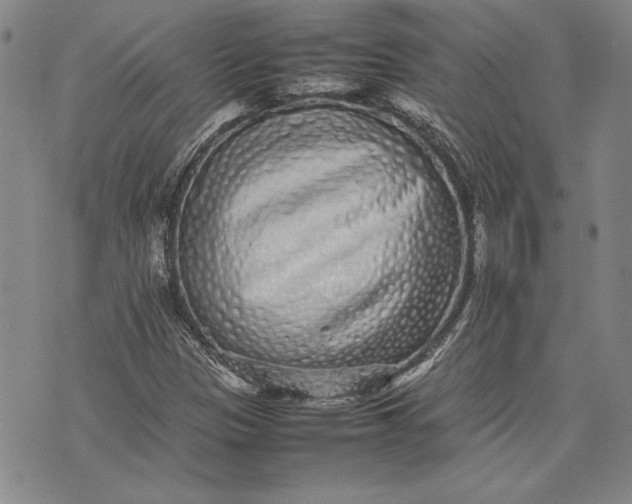 X0000075331305200609250937