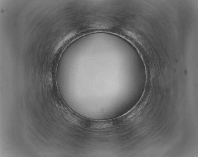 X0000075331307200609250937