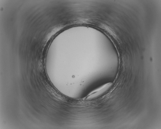 X0000075331308200609250937