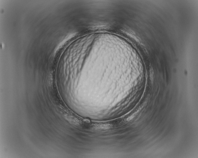 X0000075331309200609250937