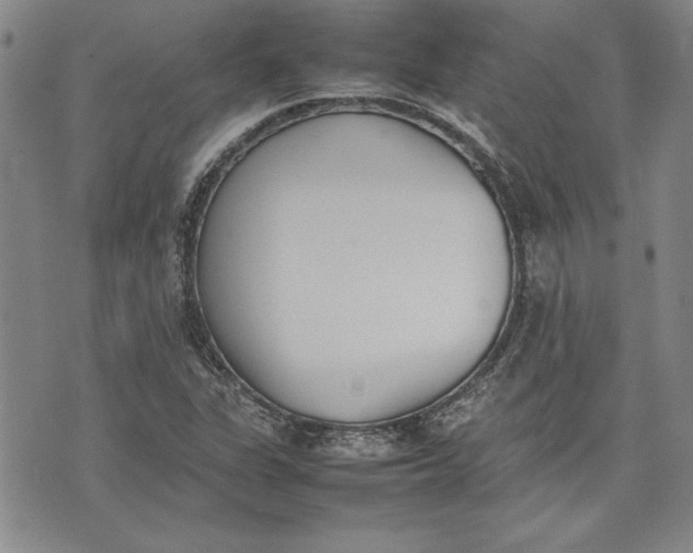 X0000075331311200609250937