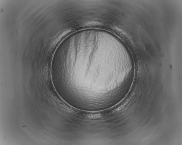 X0000075331313200609250937