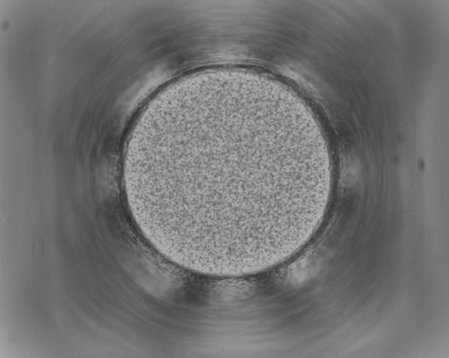 X0000075331314200609250937