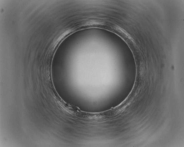 X0000075331321200609250937