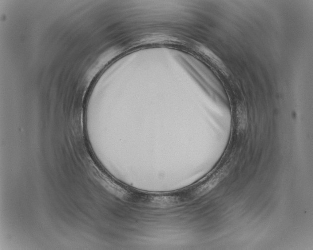 X0000075331322200609250937