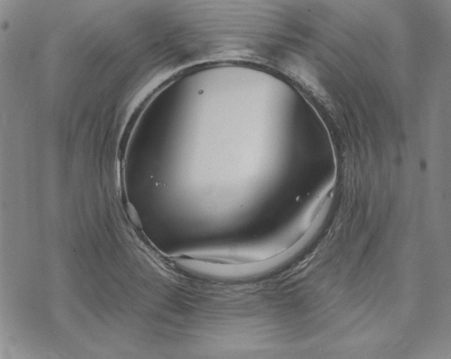 X0000075331324200609250937