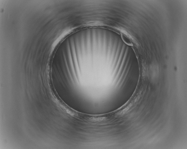 X0000075331325200609250937