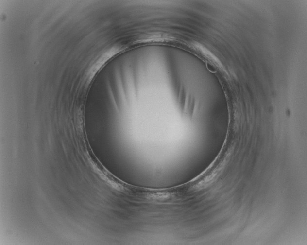X0000075331329200609250937
