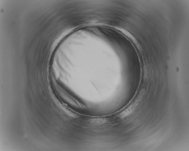 X0000075331333200609250937