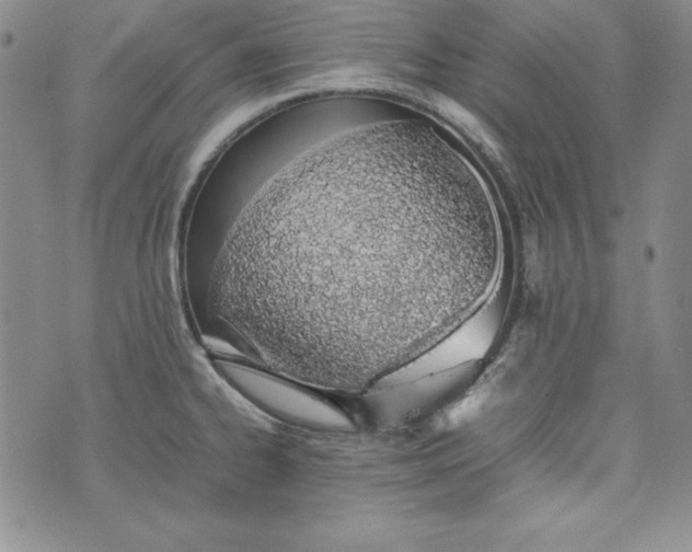 X0000075331334200609250937