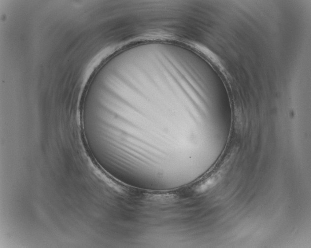 X0000075331335200609250937